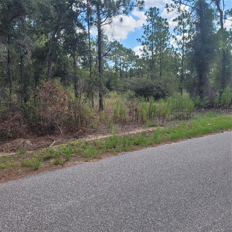 13389 HARRISON STREET BROOKSVILLE, FL 34613