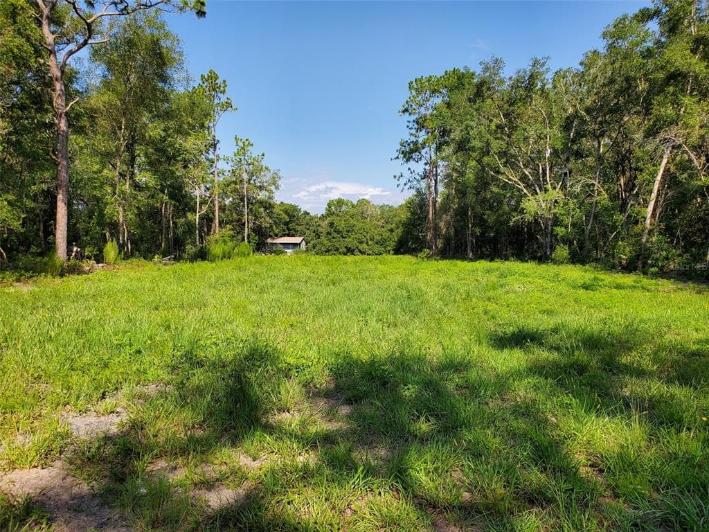 ALLOY STREET WEBSTER, FL 33597