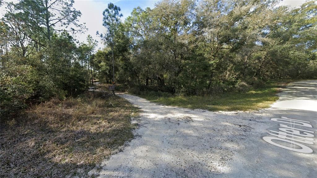 6427 OTTER DRIVE WEBSTER, FL 33597