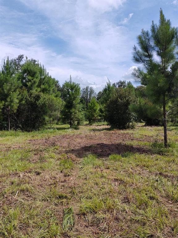 0 NW 185TH STREET WILLISTON, FL 32696
