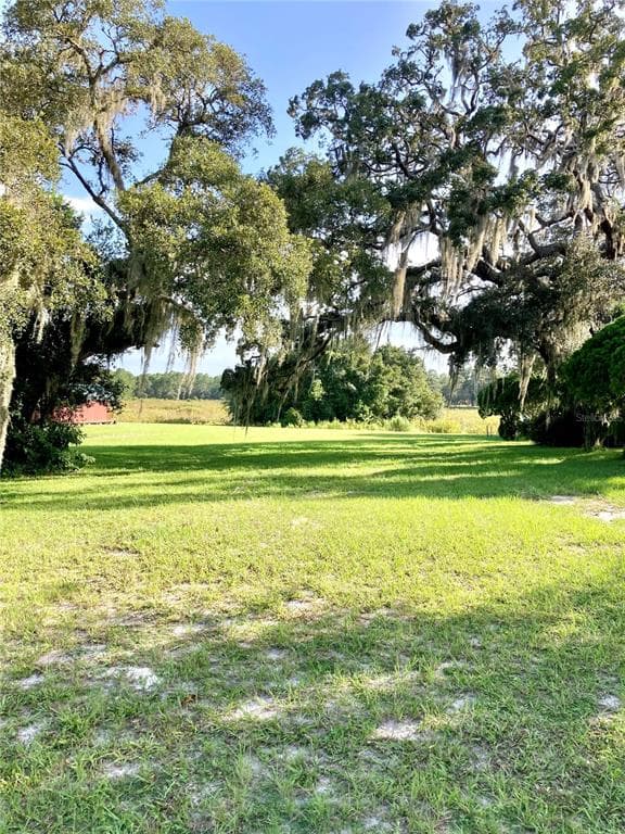 34794 ORCHID PARKWAY DADE CITY, FL 33523