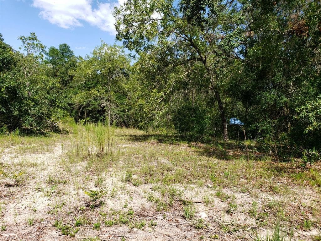 6394 BILTMORE AVENUE WEBSTER, FL 33597