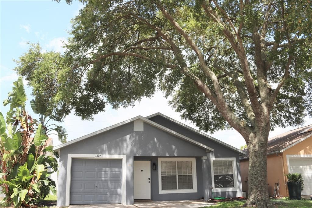 3677 AMELIA WAY PALM HARBOR, FL 34684