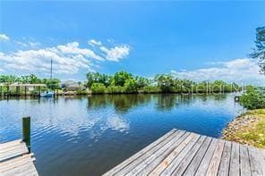 8910 ROCKY CREEK DRIVE TAMPA, FL 33615