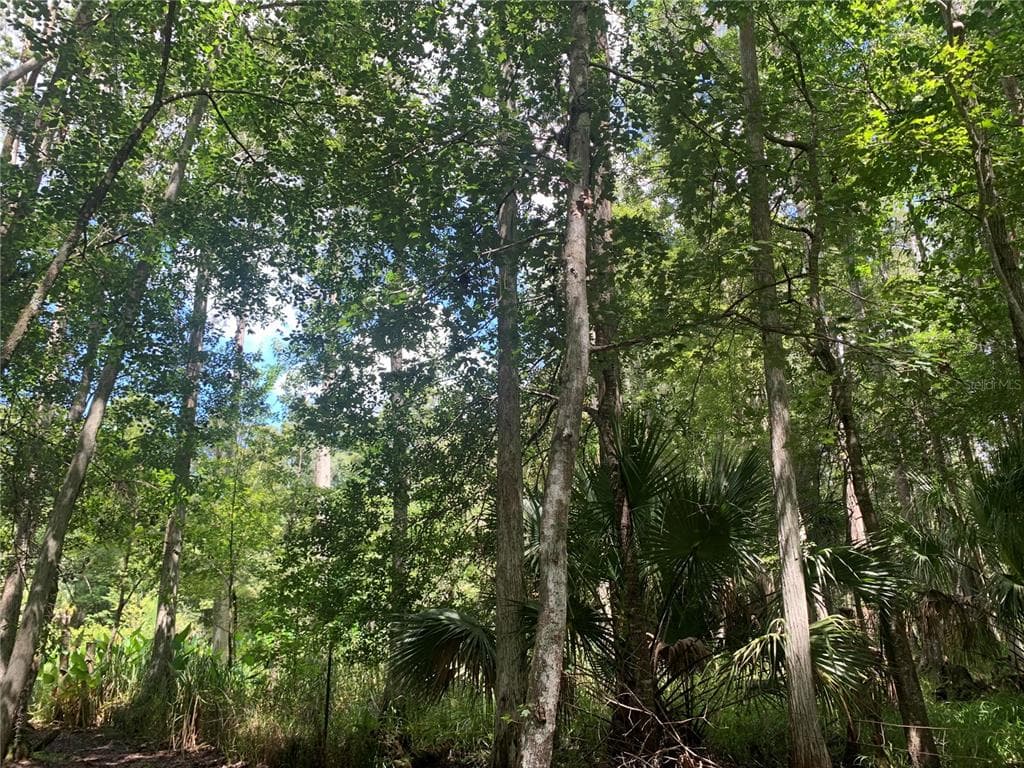 0 APPLE BLOSSOM LANE WESLEY CHAPEL, FL 33544