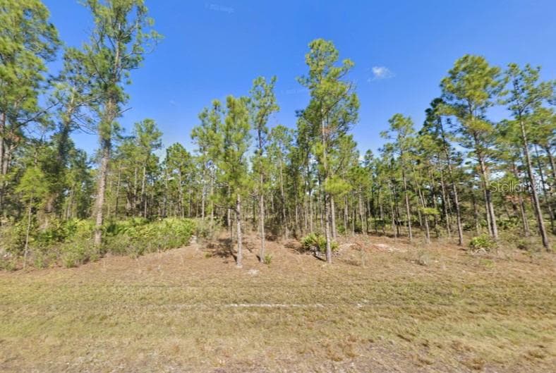 818 JAPONICA DRIVE INDIAN LAKE ESTATES, FL 33855