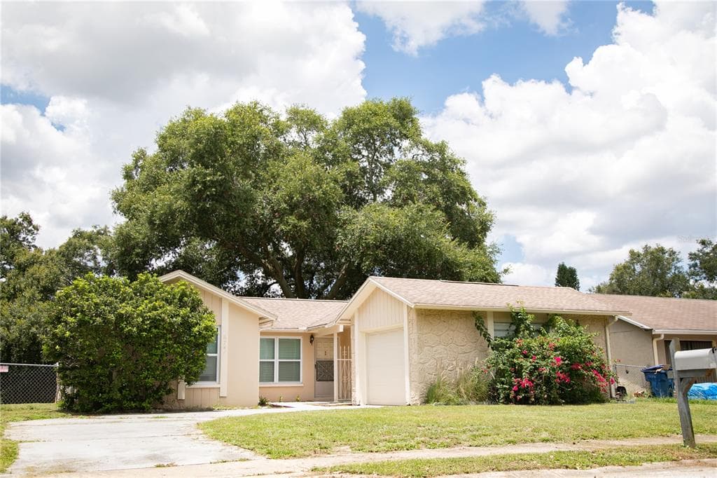 6741 WILLITS AVENUE NEW PORT RICHEY, FL 34655