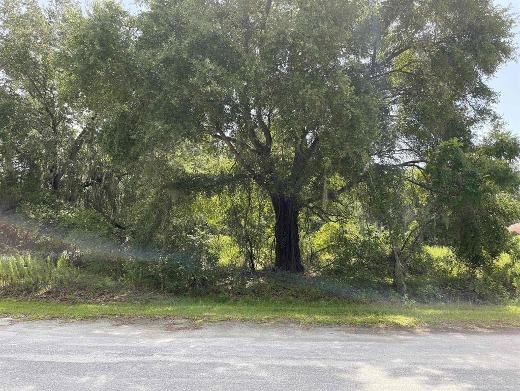 103 LOCUST RADIAL OCALA, FL 34472