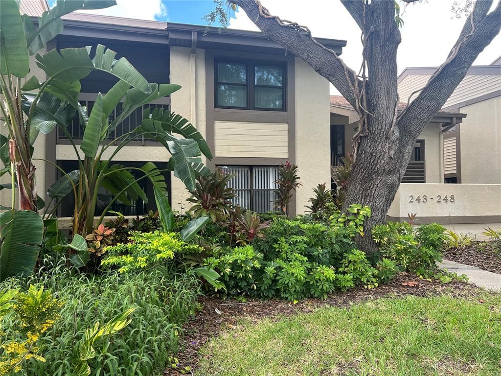 247 WOODLAKE WYNDE OLDSMAR, FL 34677