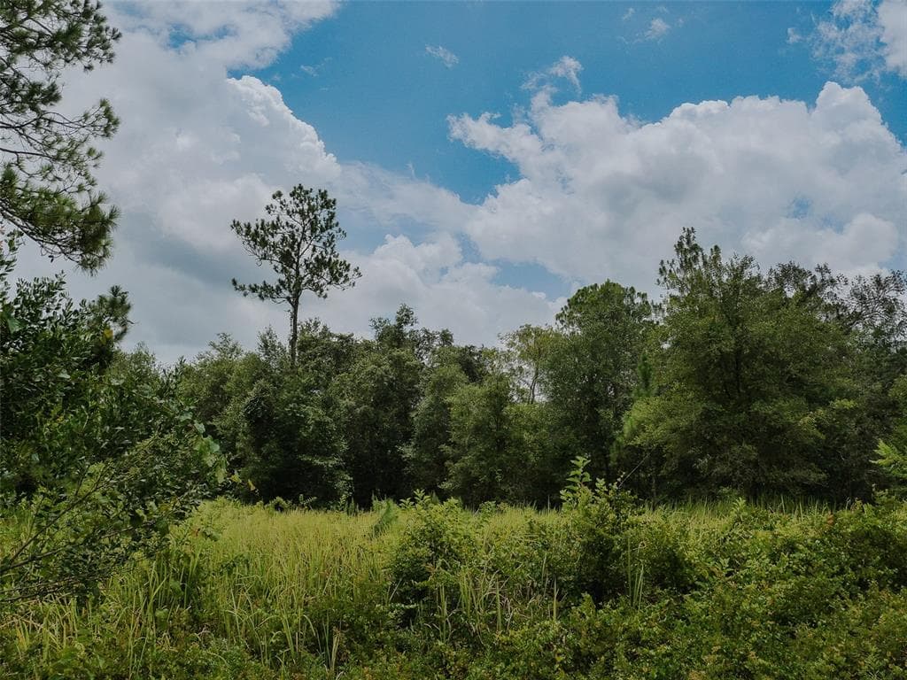 7275 WILLOUGHBY DRIVE WEBSTER, FL 33597