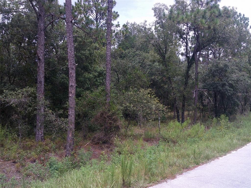 00 NW REDWOOD ROAD DUNNELLON, FL 34431