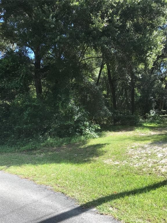 10619 E PINTAIL DRIVE FLORAL CITY, FL 34436