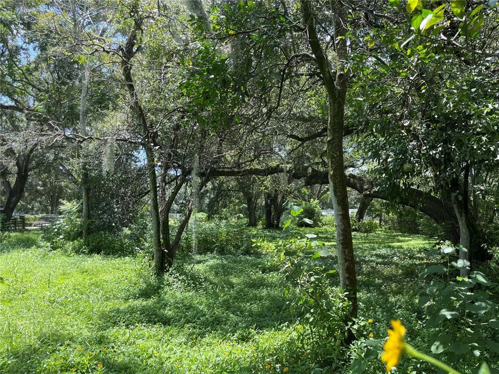 2013 MAYDELL DRIVE TAMPA, FL 33619
