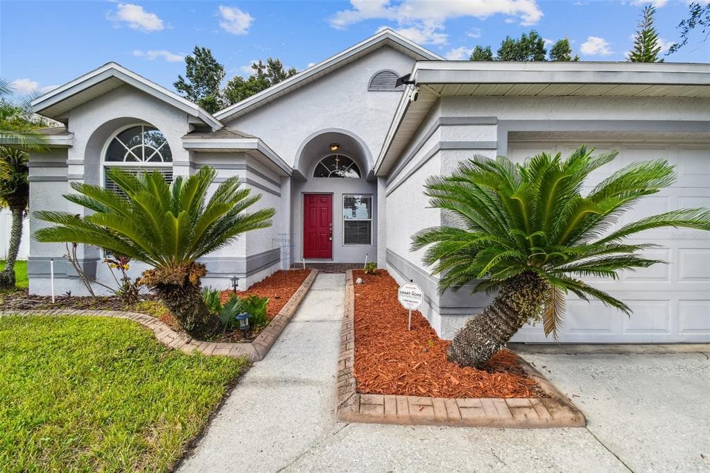 29429 BIRDS EYE DRIVE WESLEY CHAPEL, FL 33543