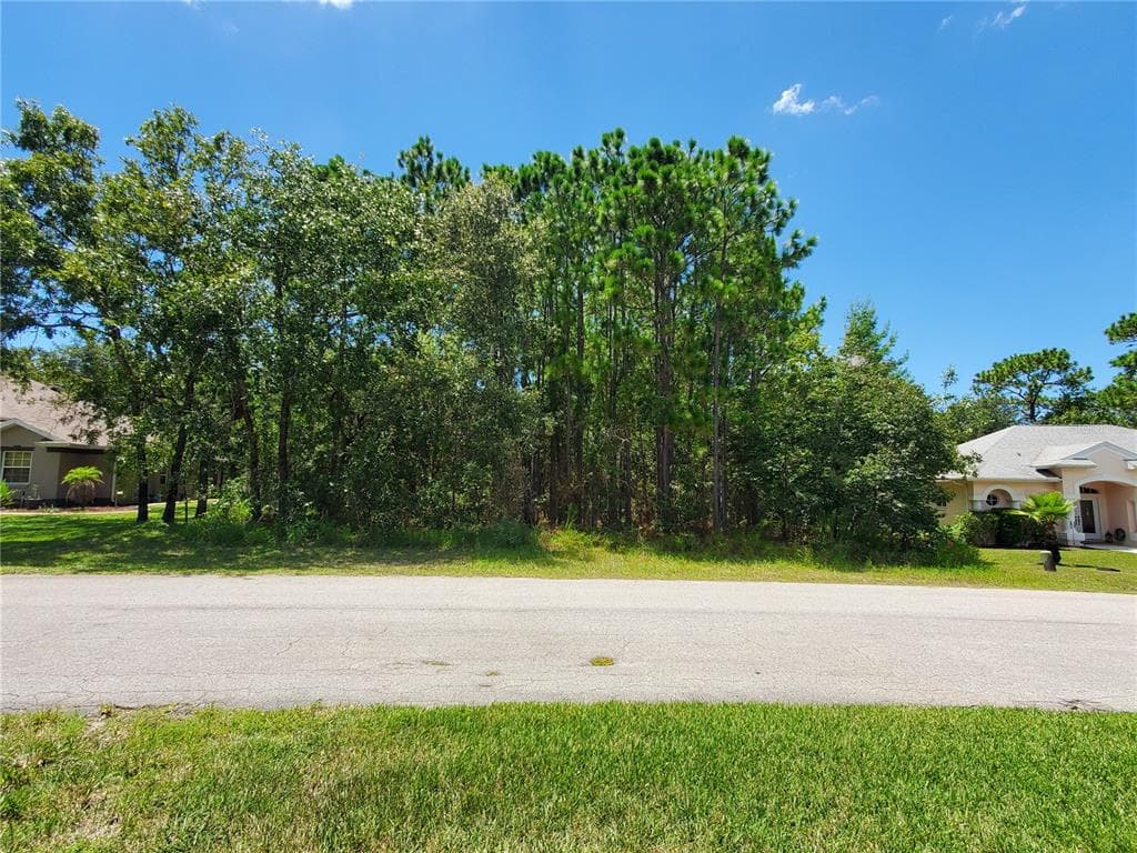 17 BELLS OF IRELAND COURT HOMOSASSA, FL 34446