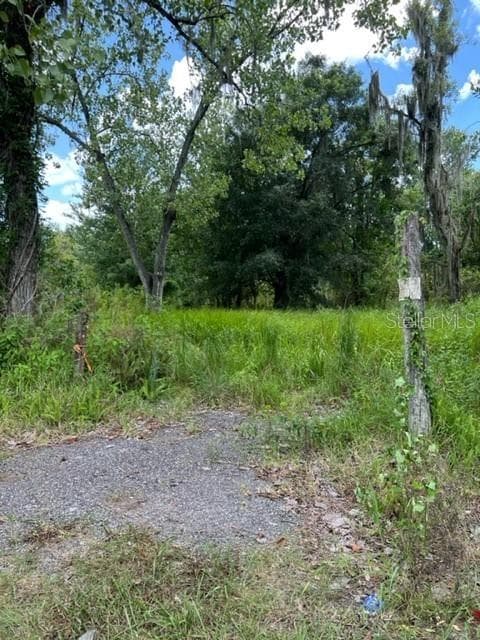 5115 W TRAPNELL ROAD DOVER, FL 33527