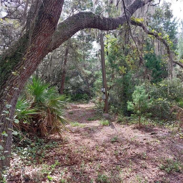 14934 CARLTON LAKE ROAD WIMAUMA, FL 33598