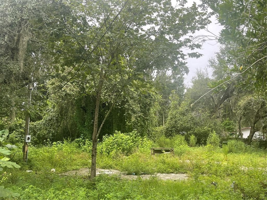 12335 BAYRIDGE AVENUE NEW PORT RICHEY, FL 34654