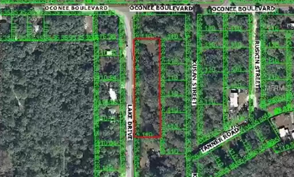 11530 LAKE DRIVE NEW PORT RICHEY, FL 34654