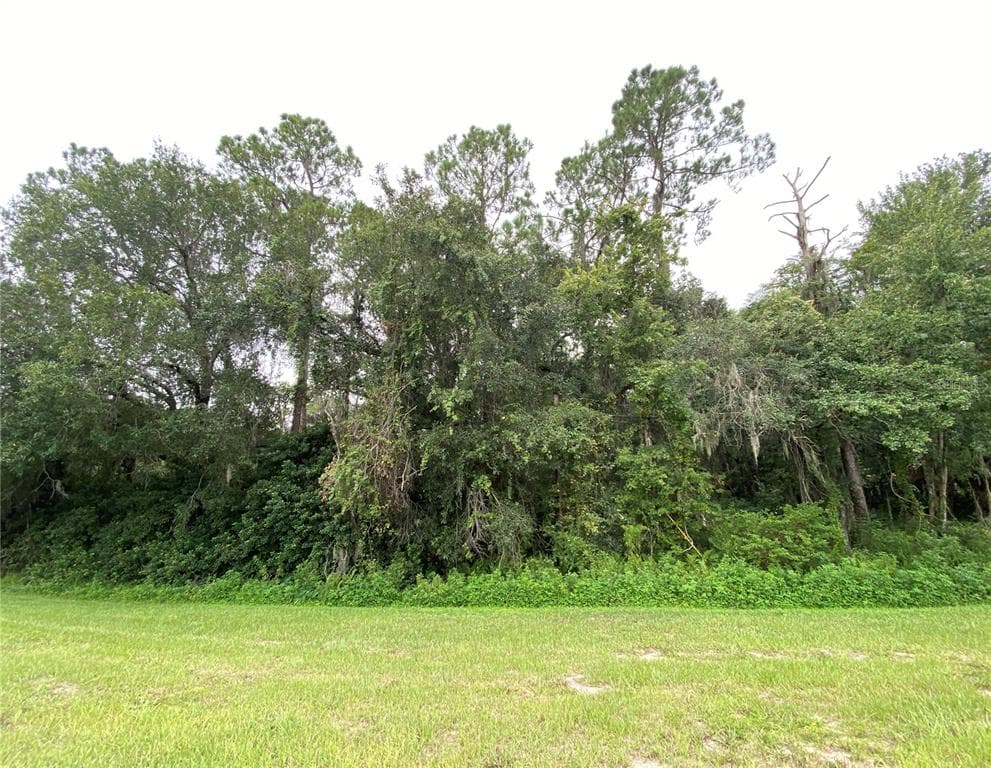LITHIA PINECREST RD. VALRICO, FL 33596