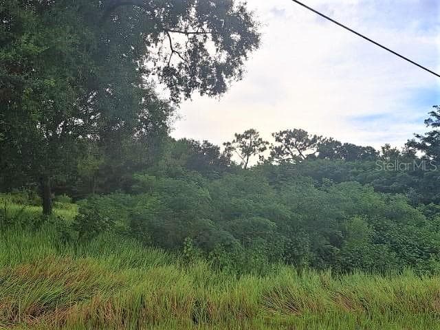 1918 MCCLELLAN ROAD FROSTPROOF, FL 33843