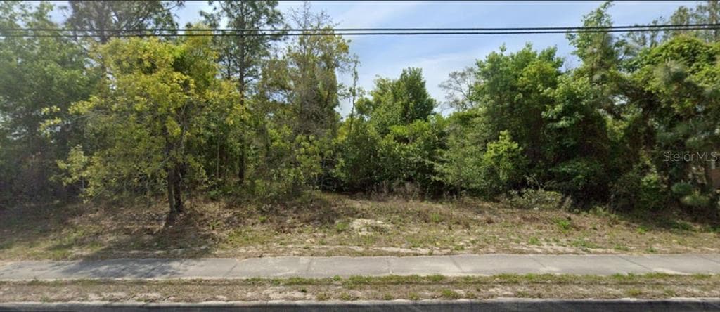 11448 SPRING HILL DRIVE SPRING HILL, FL 34609