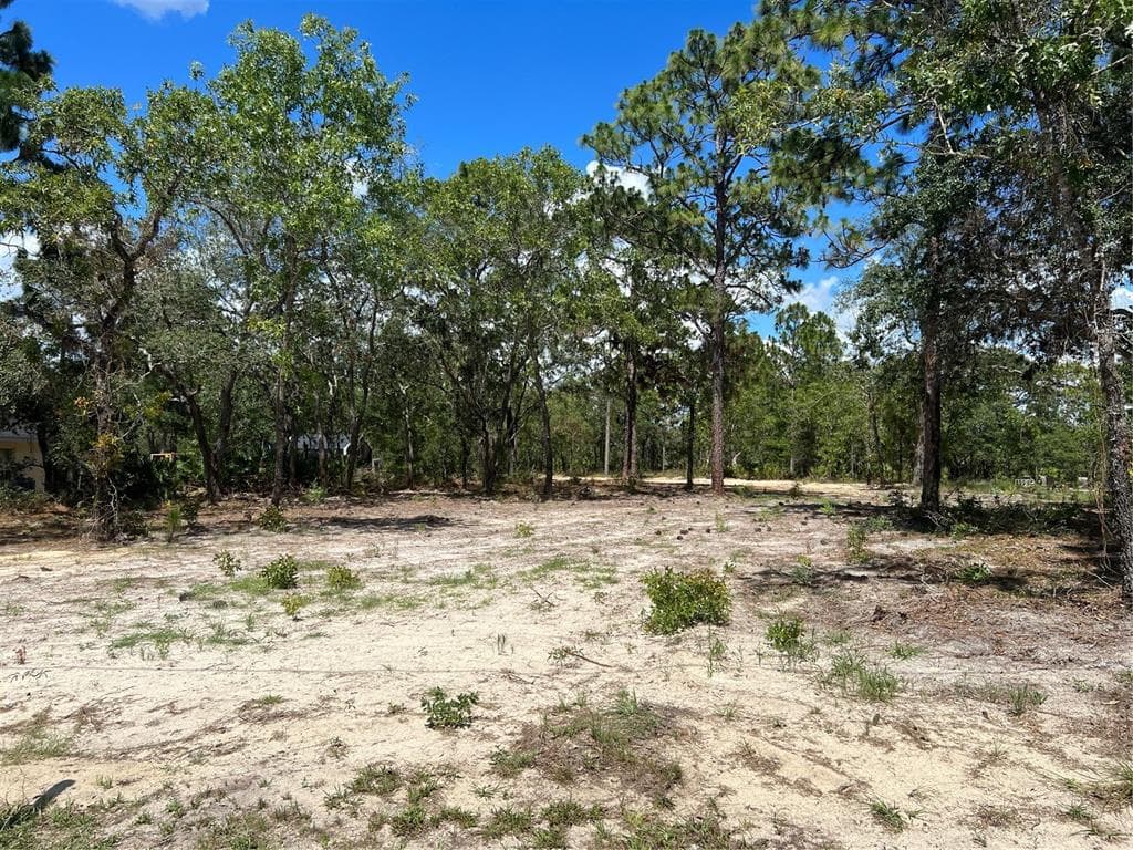 11350 PAOLI COURT WEEKI WACHEE, FL 34614