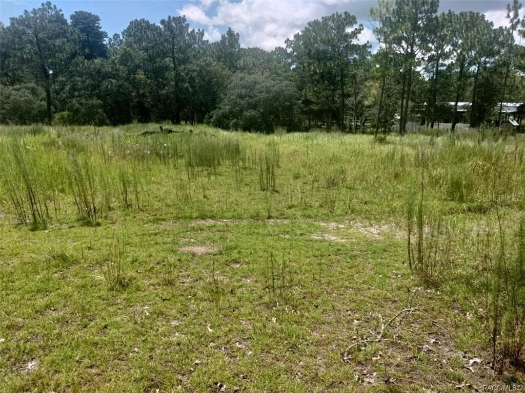 SMITHFIELD AVENUE SPRING HILL, FL 34609