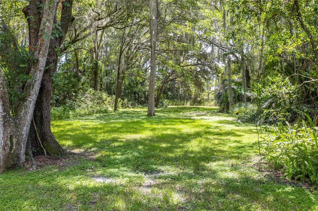 1115 W RIVER DRIVE TEMPLE TERRACE, FL 33617