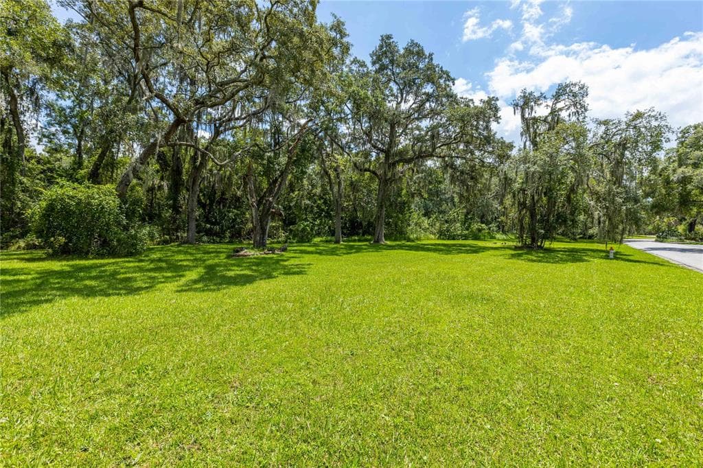 1119 W RIVER DRIVE TEMPLE TERRACE, FL 33617