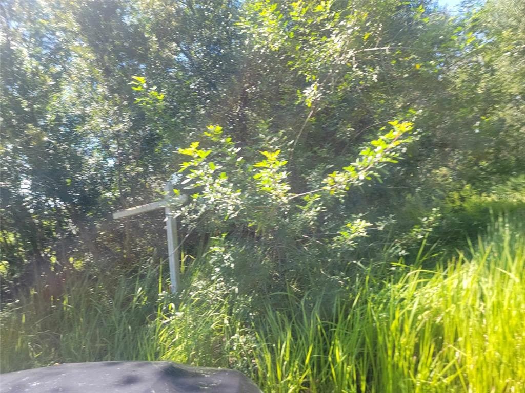 SUMNER ROAD WIMAUMA, FL 33598