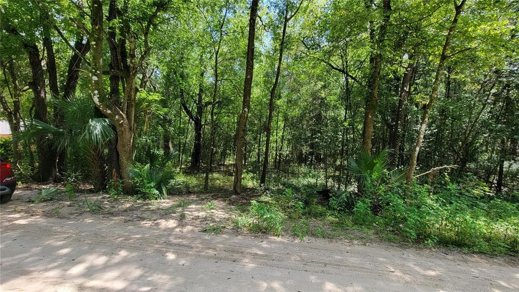 SE 140TH PL SUMMERFIELD, FL 34491