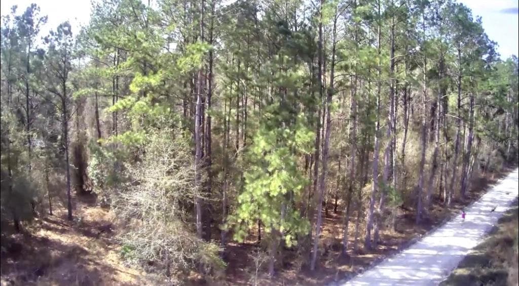 NE HOLLY ROAD BRANFORD, FL 32008