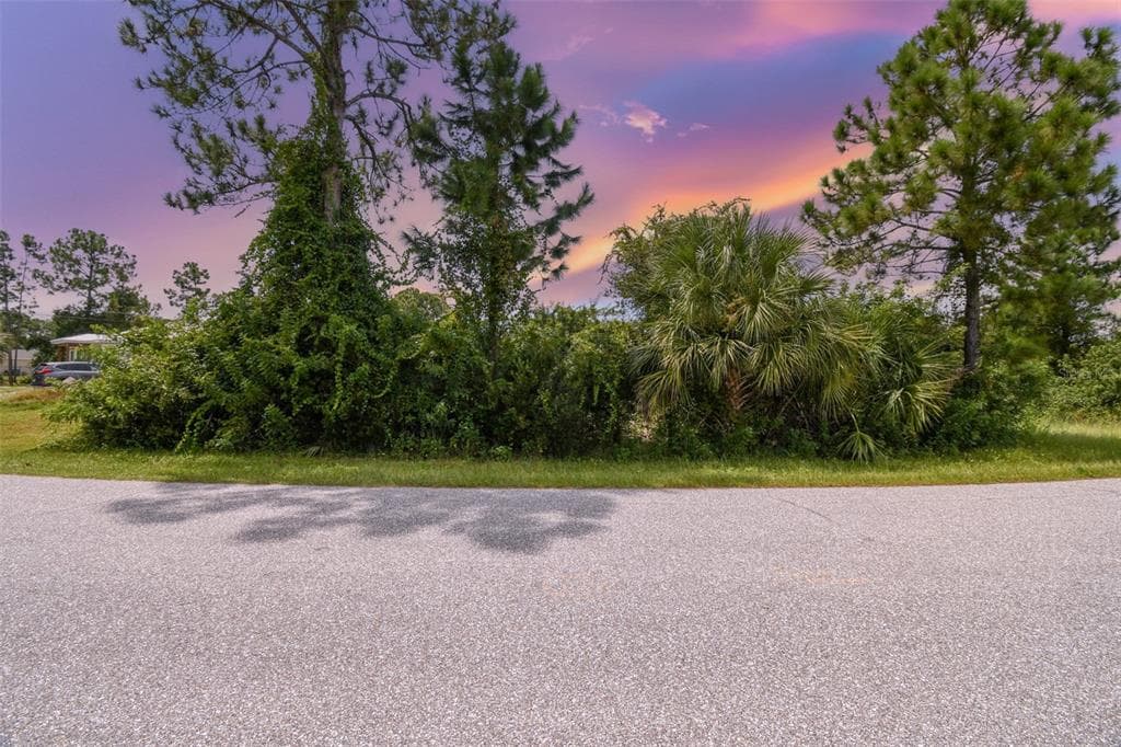 12447 BIRTLE AVENUE PORT CHARLOTTE, FL 33981