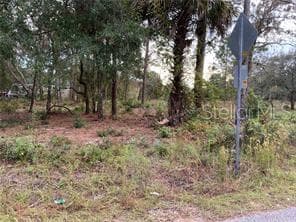 18740 CRAIG LOOP HUDSON, FL 34667