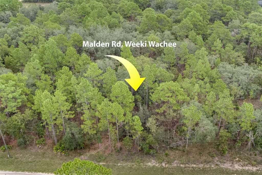 0 MALDEN ROAD WEEKI WACHEE, FL 34614