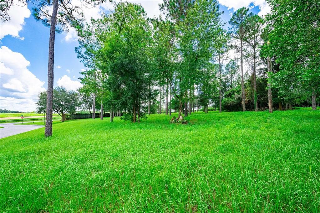 35940 RAMSEY RIDGE DRIVE DADE CITY, FL 33523