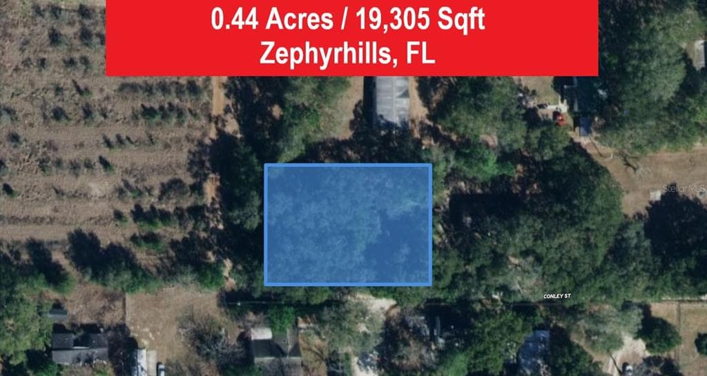 CONLEY STREET ZEPHYRHILLS, FL 33541
