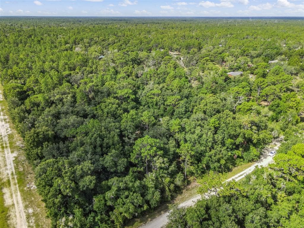 13394 ALBANY ROAD WEEKI WACHEE, FL 34614