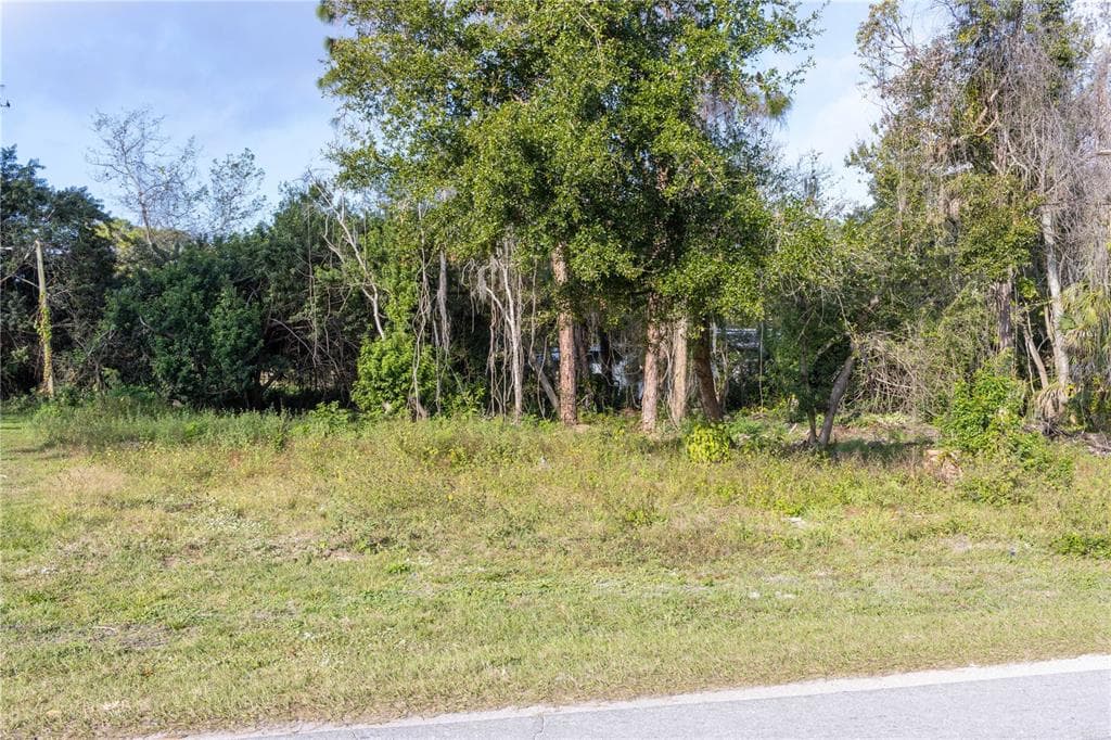 SEA PINES DRIVE LOT 55 & 57 HUDSON, FL 34667