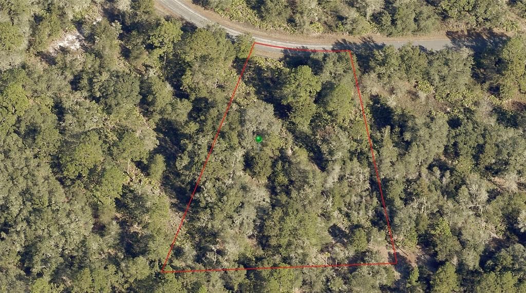12000 W COCKSCOMB DRIVE CRYSTAL RIVER, FL 34428
