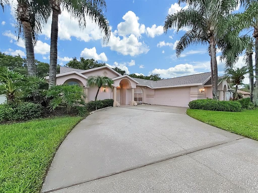 1619 MCAULIFFE LANE PALM HARBOR, FL 34683