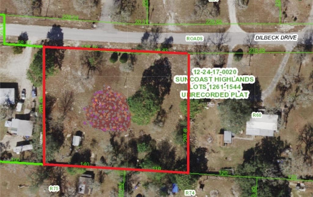 15020 DILBECK DRIVE SPRING HILL, FL 34610