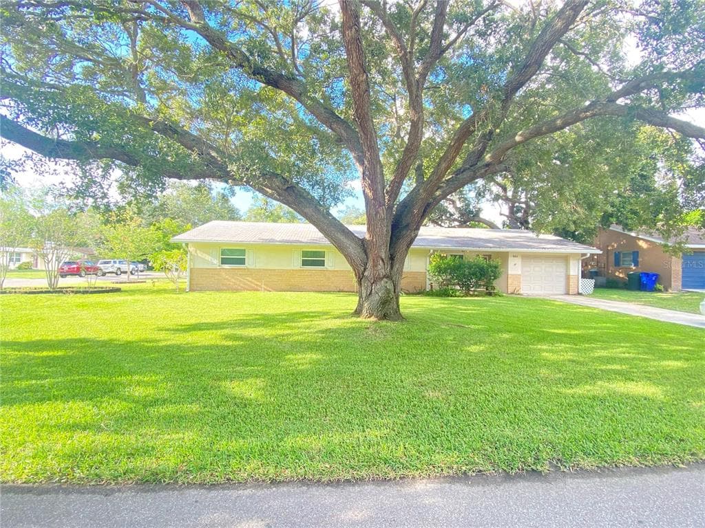 507 MANOR DRIVE DUNEDIN, FL 34698