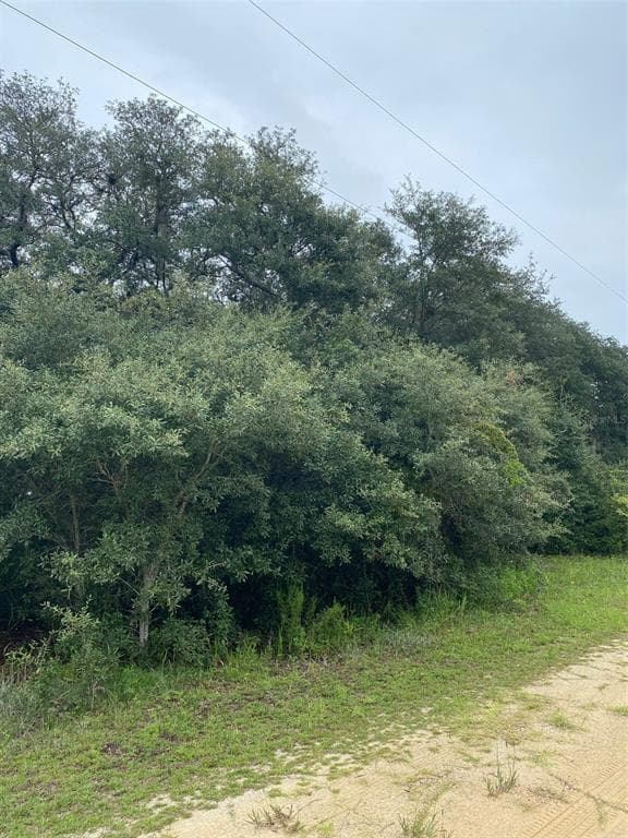 118 DENVER DRIVE INTERLACHEN, FL 32148