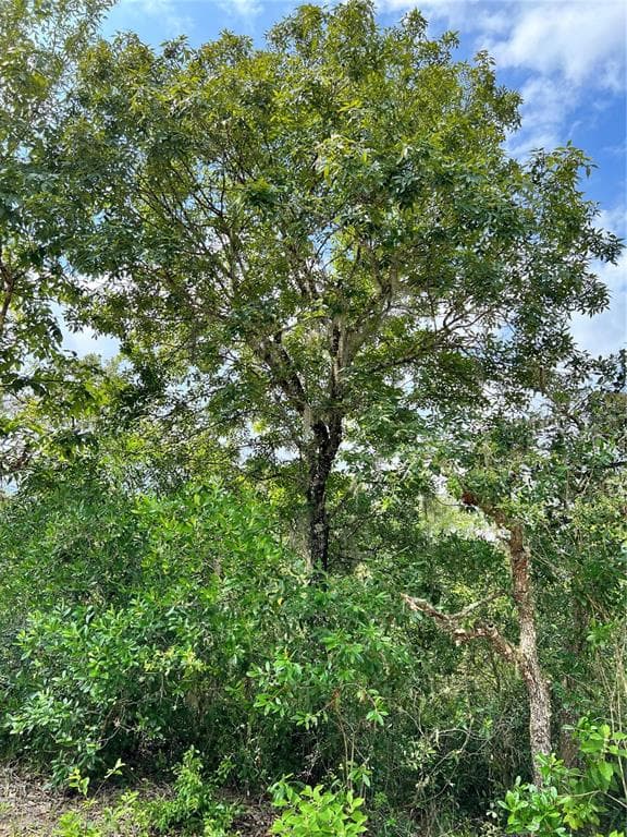 RIVERSTONE STREET WEBSTER, FL 33597