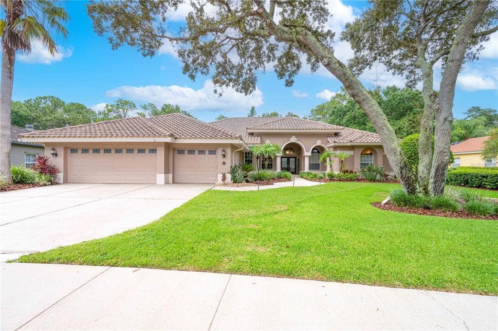 4954 TURTLE CREEK TRAIL OLDSMAR, FL 34677