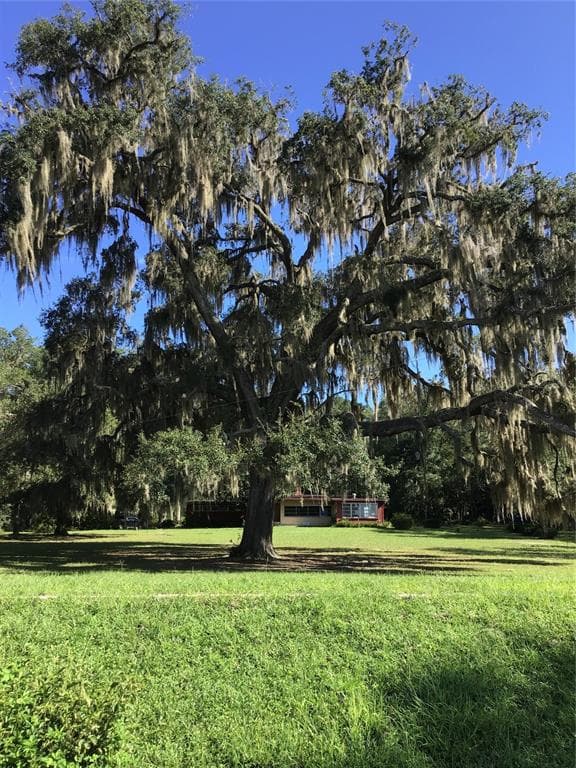 124 CAMP JOY ROAD INTERLACHEN, FL 32148