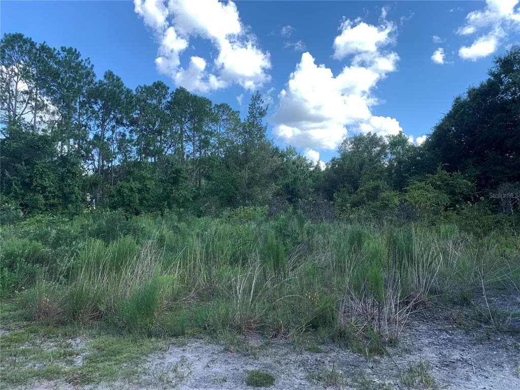 17438 TANGELO DRIVE SPRING HILL, FL 34610