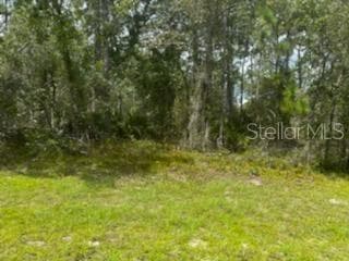 8111 NORDICA RD WEEKI WACHEE, FL 34613